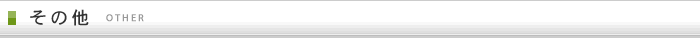 その他