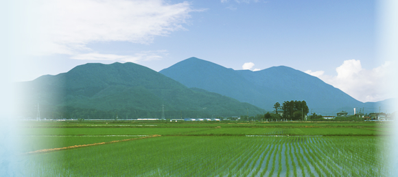 新潟県燕市。環境調査・分析事業のNSS